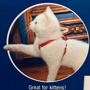 Cat Harness set
